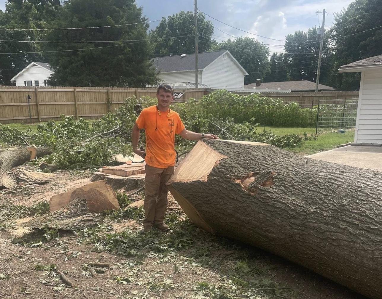Massive tree removal in residential yard